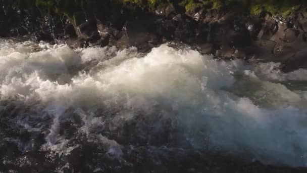 Água fresca do rio que flui para baixo em uma bela floresta tropical fresca — Vídeo de Stock