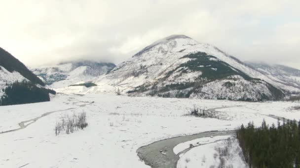 Aerial View of Beautiful Canadian Nature Landscape. — Stock Video