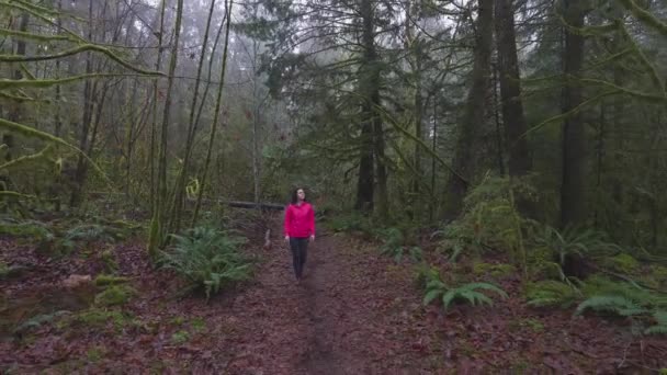 Ragazza avventurosa Escursioni nella natura canadese — Video Stock