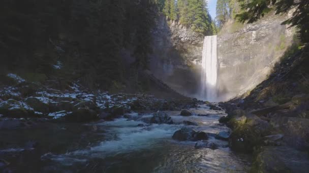 Bella cascata nella natura canadese nella foresta pluviale — Video Stock