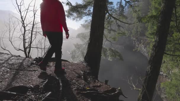 Dívka sledující krásný vodopád v kanadské přírodě — Stock video