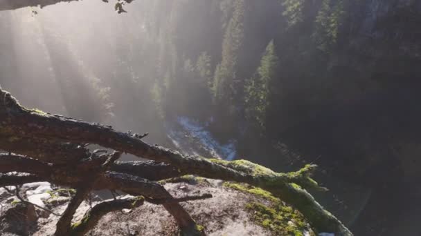 加拿大自然雨林中美丽的瀑布 — 图库视频影像