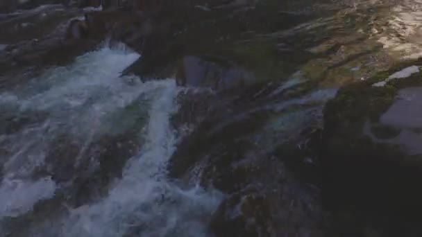 Krásný vodopád v kanadské přírodě v deštném pralese — Stock video