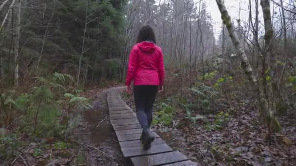 Ragazza avventurosa Escursioni nella natura canadese — Video Stock