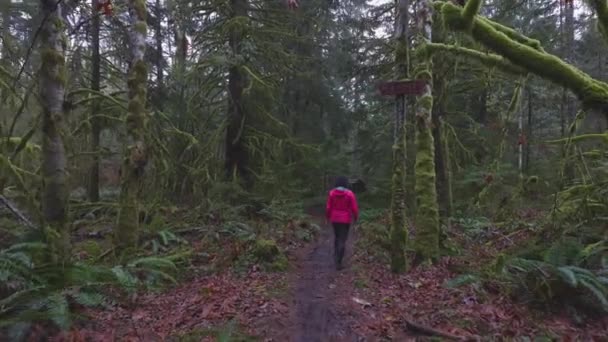 Ragazza avventurosa Escursioni nella natura canadese — Video Stock