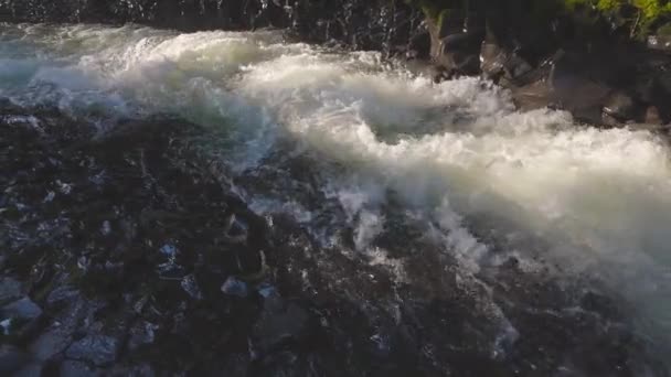 Agua dulce del río que fluye hacia abajo en una hermosa selva fresca — Vídeo de stock