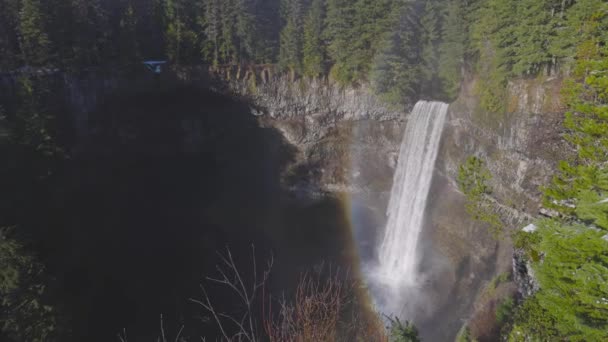 Bela cachoeira na natureza canadense na floresta tropical — Vídeo de Stock