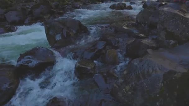 캐나다 자연계에서 아름다운 폭포를 보고 있는 소녀 — 비디오