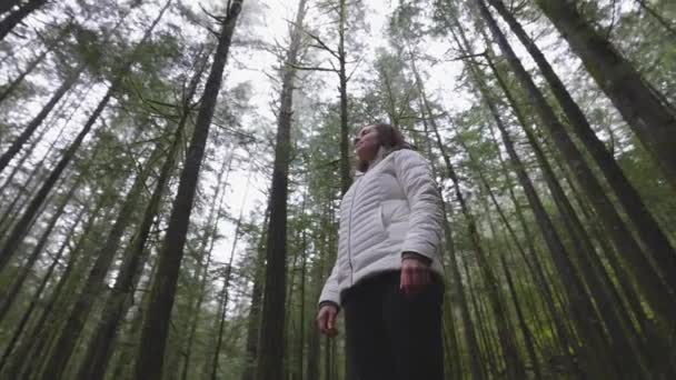 カナダの自然の中で冒険的な女の子ハイキング — ストック動画