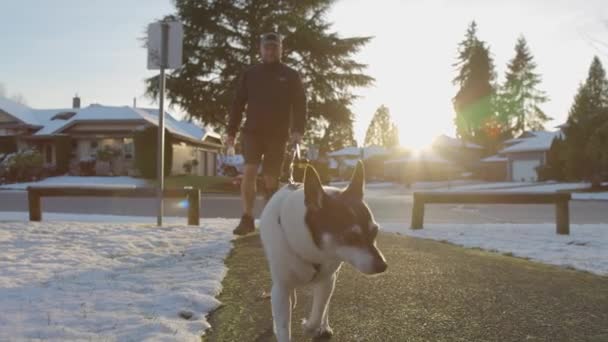 Lindo perrito paseando con una correa con su dueño — Vídeo de stock