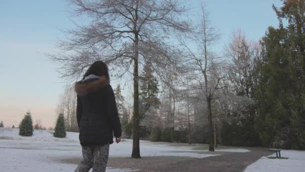 Chica caminando en un parque durante la niebla amanecer invierno — Vídeo de stock