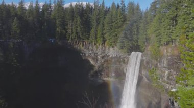 Kanada 'nın Yağmur Ormanındaki Doğasında Güzel Şelale