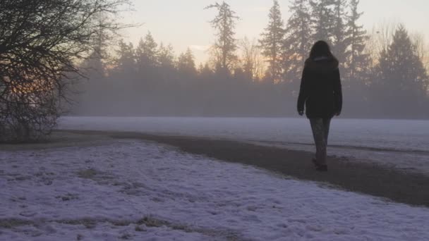 Chica caminando en un parque durante la niebla amanecer invierno — Vídeos de Stock