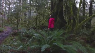 Kanada Doğasında Maceracı Kız Yürüyüşü