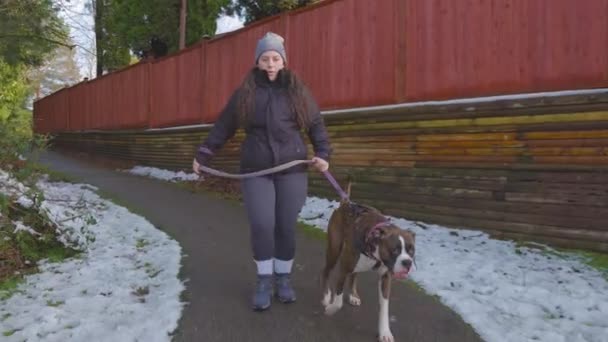 Söpö naaras nyrkkeilijä pentu koira kävely hihnassa omistajansa kanssa — kuvapankkivideo