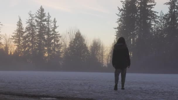 Dívka procházky v parku během mlhavého zimního východu slunce — Stock video