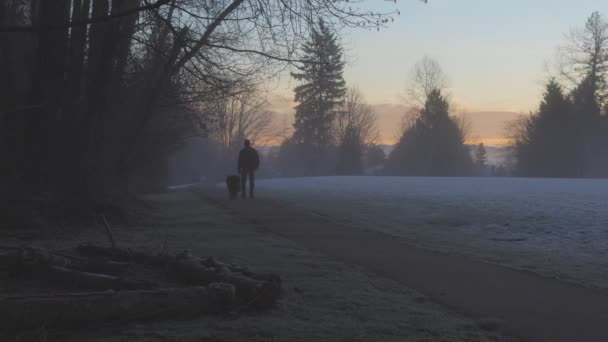 안개낀 겨울 일출에 개를 데리고 공원을 산책하는 사람 — 비디오