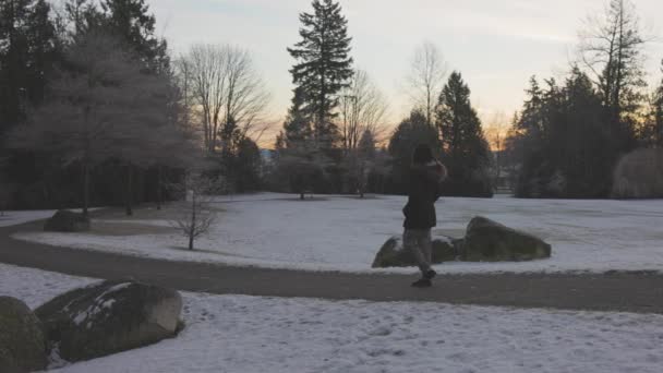 Meisje Wandelen in een park tijdens mistige winter zonsopgang — Stockvideo