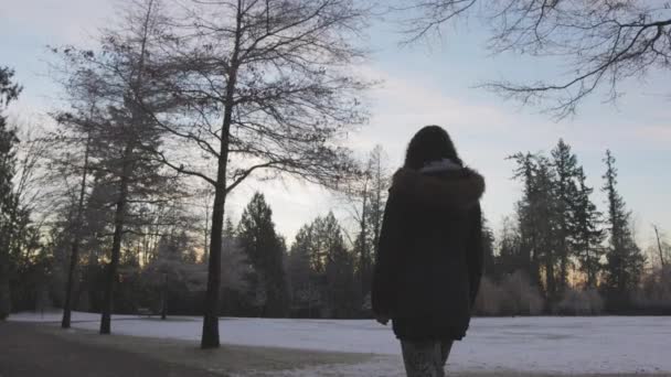Κορίτσι Περπατώντας σε ένα πάρκο κατά τη διάρκεια ομιχλώδη ανατολή του χειμώνα — Αρχείο Βίντεο
