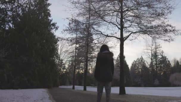 Mädchen spaziert bei nebligem Wintersonnenaufgang in einem Park — Stockvideo
