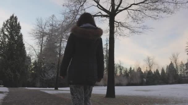 Chica caminando en un parque durante la niebla amanecer invierno — Vídeos de Stock