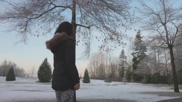 Mädchen spaziert bei nebligem Wintersonnenaufgang in einem Park — Stockvideo
