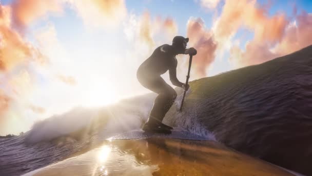 Приваблива людина, яка розтоплює хвилі біля Тихого океану — стокове відео