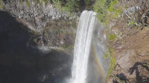 Bela cachoeira na natureza canadense na floresta tropical — Vídeo de Stock