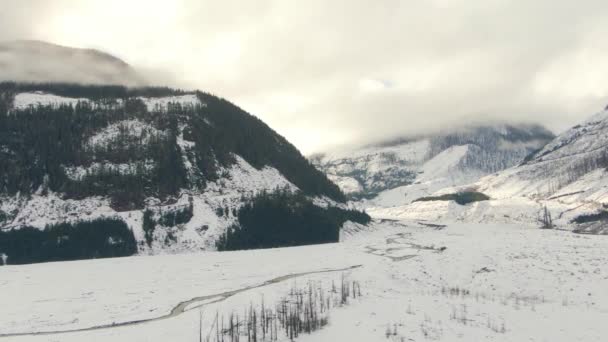 Vista aérea del hermoso paisaje natural canadiense. — Vídeo de stock