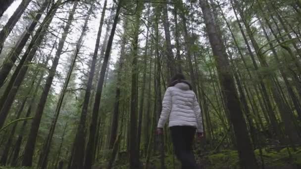 캐나다의 자연계에서 쇼핑하는 영리 한 소녀 — 비디오