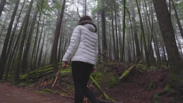 Dobrodružná dívka Turistika v kanadské přírodě — Stock video