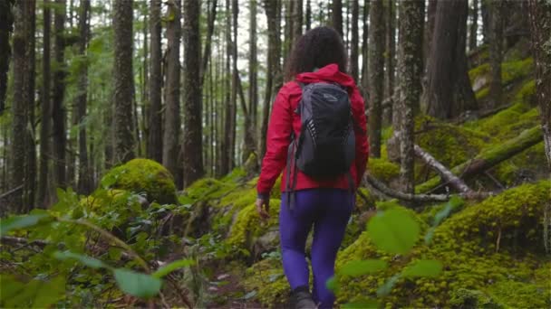 Ragazza Escursioni su un sentiero nella foresta pluviale durante una stagione invernale piovosa. — Video Stock