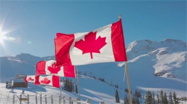 Arka planda kış manzarası olan Kanada Bayrağı.