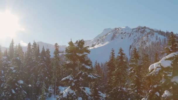 Snowy Las na szczycie gór zimą w słoneczny poranek. — Wideo stockowe