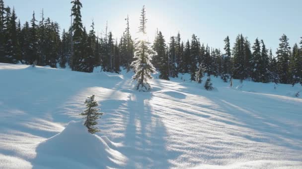 Mooie sneeuw bedekt landschap in de Canadese Mountain Nature tijdens de winter zonnige ochtend — Stockvideo