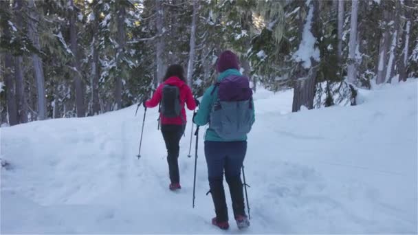 Пригоди Дівчата подорожують по канадській горі Природа в зимовий сонячний ранок. — стокове відео