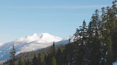 Karlı Orman kışın dağların tepesinde Güneşli Sabah boyunca.