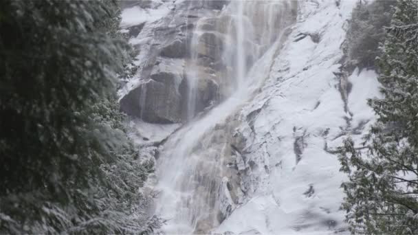 Vista de Shannon Falls e água correndo pelo desfiladeiro — Vídeo de Stock