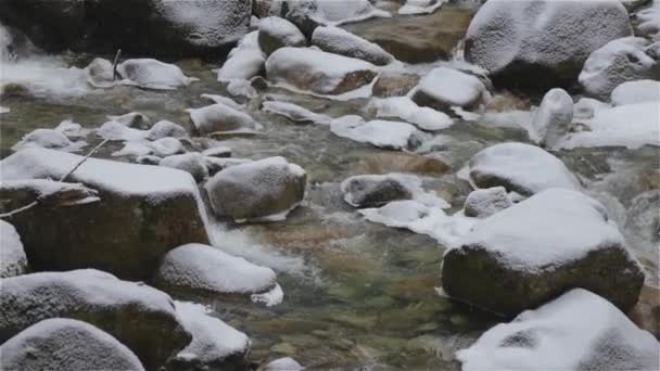 Vista de Shannon Falls y el agua corriendo por el cañón — Vídeo de stock