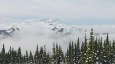 Karlı Orman kışın dağların tepesinde Güneşli Sabah boyunca.