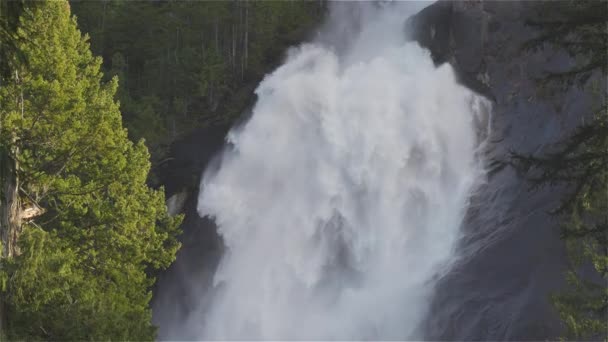 Θέα του Shannon Falls και το νερό σπεύδουν κάτω από το φαράγγι — Αρχείο Βίντεο
