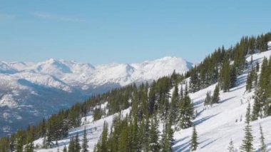 Karlı Orman kışın dağların tepesinde Güneşli Sabah boyunca.