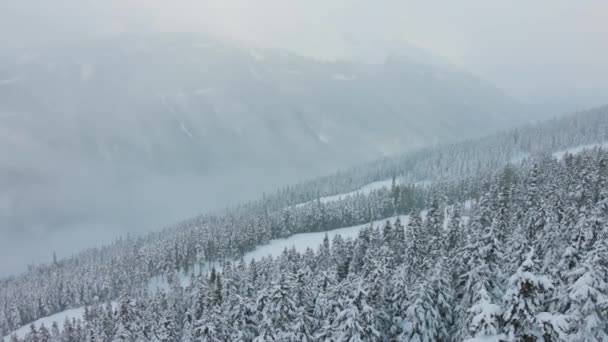 Forêt enneigée au sommet des montagnes en hiver pendant la chute de neige. — Video