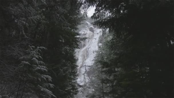 Vue des chutes de Shannon et de l'eau qui descend le canyon — Video