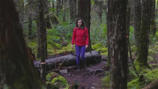 Girl Hiking on a Path in the Rain Forest during a rain Winter Season. — Stok Video