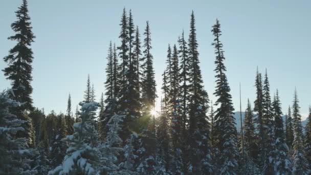 Красивый снежный пейзаж в канадской горной природе — стоковое видео