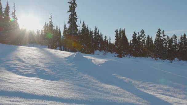 Hermoso paisaje cubierto de nieve en la naturaleza de montaña canadiense — Vídeos de Stock