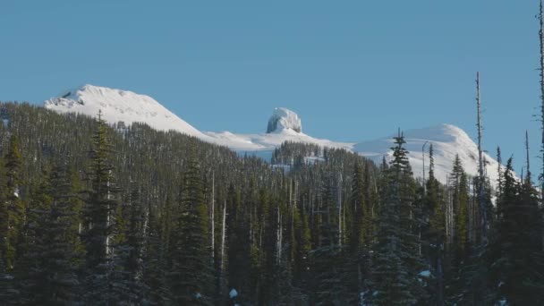 Schöne schneebedeckte Landschaft in der kanadischen Bergnatur — Stockvideo