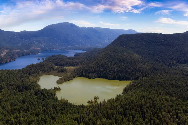 Ambrose Gölü Ekolojik Rezervi ve Ruby Gölü 'nün hava manzarası
