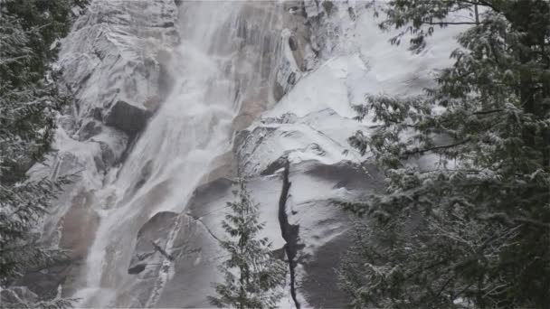 Vista de Shannon Falls y el agua corriendo por el cañón — Vídeo de stock